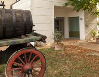 Eventi estivi al Museo della Vita Contadina di San Pancrazio