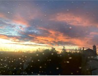 "Il Circolo delle Arti": il nuovo progetto a cura della compagnia  Le Belle Bandiere