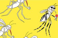 Il Comune di Russi prosegue la campagna sperimentale contro la zanzara tigre in applicazione del Progetto arbovirosi e Rete Città Sane
