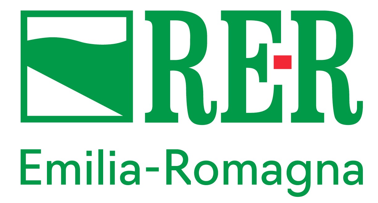 Logo RER ok.jpg